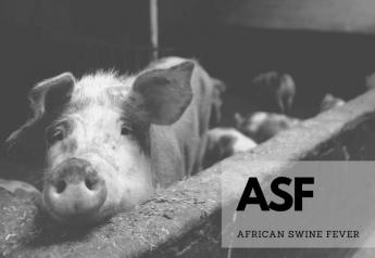 China's Hebei province reports African swine fever in pig trucks