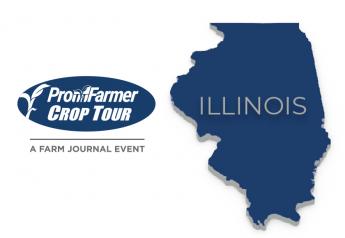 2021 Crop Tour results: Illinois