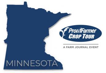 2021 Crop Tour results: Minnesota