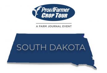 2023 Crop Tour results: South Dakota