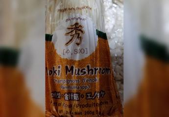 Soo brand enoki mushrooms recalled due to possible listeria contamination