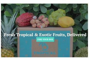 Hazel Tech provides direct-to-consumer freshness for tropical fruit box 
