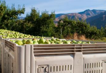 Mexico and Canada lead Northwest pear export strength