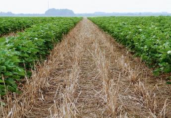 Release the Turnrow Monster: Adam Chappell Moves to 76” Wide Row Cotton