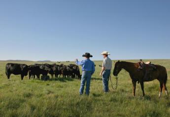 New Leadership at Texas & Southwestern Cattle Raisers Association