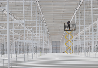 Intergrow Greenhouses opens newest expansion in New York