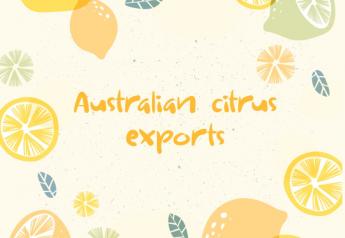 USDA expands Australian citrus access to U.S.