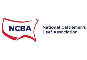 NCBA President Hits Back at Animal Rights Activists and Policymakers Attacking the Beef Checkoff