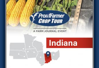 Crops Continue to Impress in Indiana While Dryness Takes a Toll on Portions of Nebraska