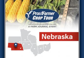 Crop Tour Preview: 70% of Nebraska Corn in Good to Excellent Condition