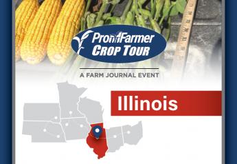 Crop Tour Preview: Illinois Corn A Tale Of Extreme Variability 