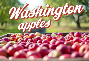 Despite heat, Washington crop expected similar to last year