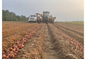 Alsum Farms starts Wisconsin red potato harvest 