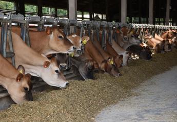 Milk Production Drops for The Seventh Month in A Row