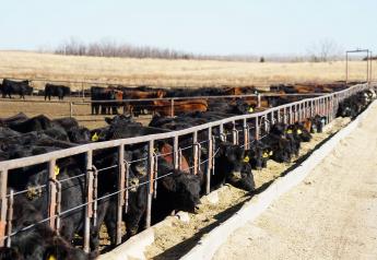 Bipartisan Infrastructure Bill is a Win for the Cattle Industry, NCBA Says