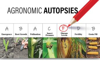 How To Conduct Agronomic Autopsies
