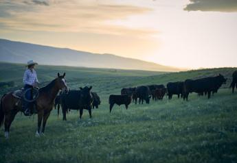 Eight Ranchers Win Products to Help Transform Rangelands 