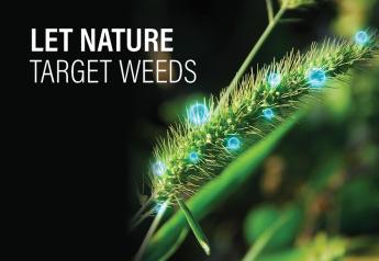 Let Nature Target Weeds with Bioherbicides 