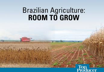 Brazilian Agriculture: Room to Grow