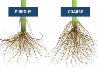 At The Root Of It: Fine-Tune Your Hybrid Selection