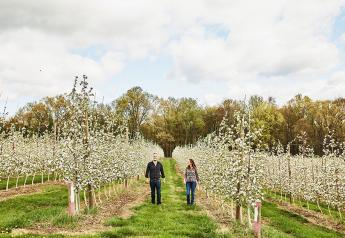 Eastern apple growers weather challenges, mark successes