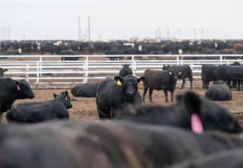 U.S. Premium Beef Named CAB Progressive Partner