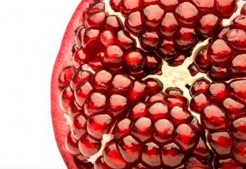 A cheery outlook for pomegranates