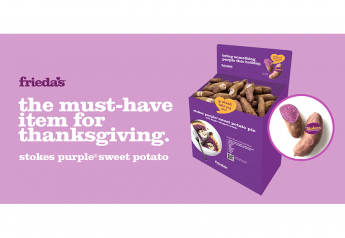 Showcase Stokes Purple® Sweet Potatoes: the must-have item for every store this Thanksgiving