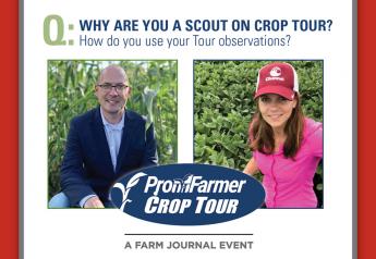 Crop Tour: How Scouts Use Their Tour Observations 
