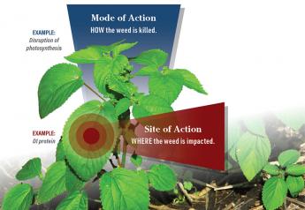 Focus on MOA and SOA to Improve Weed-Control Outcomes