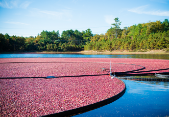 Oppy welcomes Ocean Spray cranberry season with spirited holiday perspective