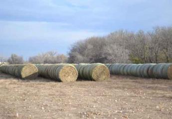 Expect Tight Hay Supplies, Higher Prices 
