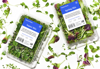 Indoor farmer Square Roots launches two salad mixes