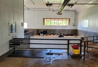 Facility Focus: The Road to Automated Calf Feeders