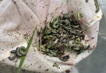 Unspoken Truths About Pests: Armyworms
