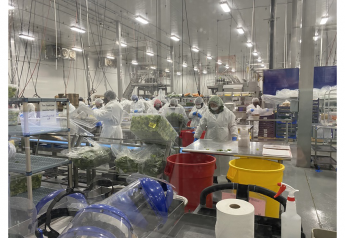Bix Produce invests in efficiency, customer service