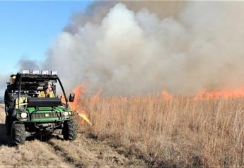 Saving the Great Plains With Prescribed Fire, Mixed Grazing