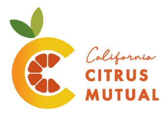 Citrus thrips decreasing California estimates