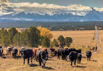Beef Promotion Operating Committee Approves Fiscal Year 2022 Checkoff Plan of Work