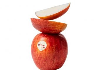 Envy Apples named “Best in Produce” in annual list of Kitchn Essentials