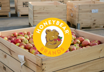 Honeybear Marketing pushes Pazazz apples