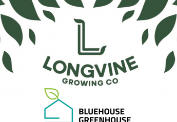 Longvine partners with Bluehouse Greenhouse for expansion