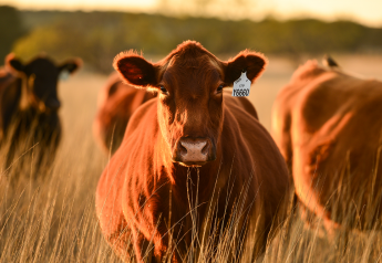 Cattle Industry Leaders Honored for Contributions to Red Angus Breed