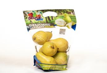 Sage Fruit Co. adds pear conditioning capacity