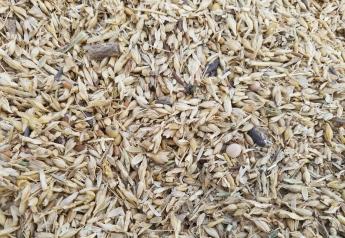 Be Aware of Purchasing Livestock Feed Containing Weed Seeds