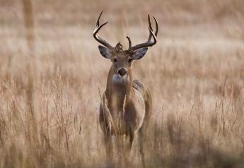 House Ag Committee Passes Chronic Wasting Disease Bill to Hinder the Spread of Prions