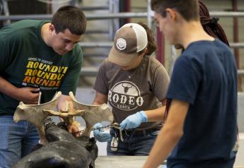 Youth Get An Early Start on Veterinary Science Training