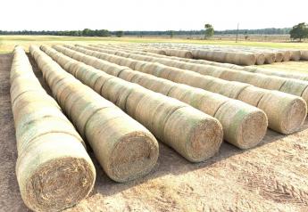 Record Low Hay Stocks This Winter