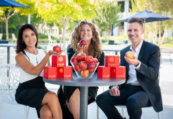 Envy apples celebrate success in U.S. market