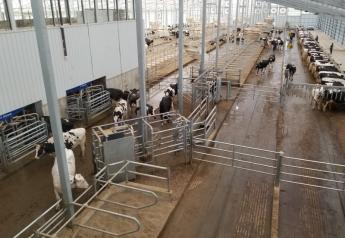 Robotic Milking Article Series from Cornell